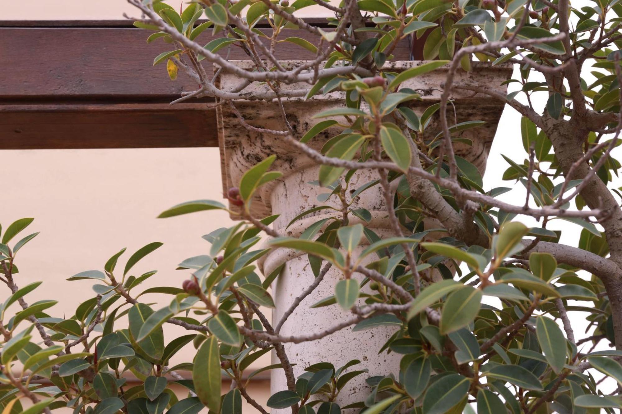 Casa Romana Boutique Sevilha